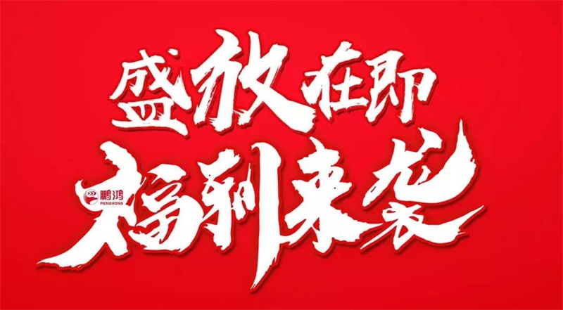 再拓疆域！鵬鴻We+定制&紅星美凱龍聯袂亮相烏魯木齊
