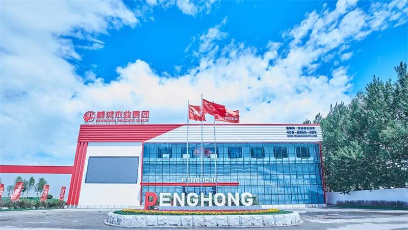 鵬鴻“定制家”升級(jí)“夢想家”